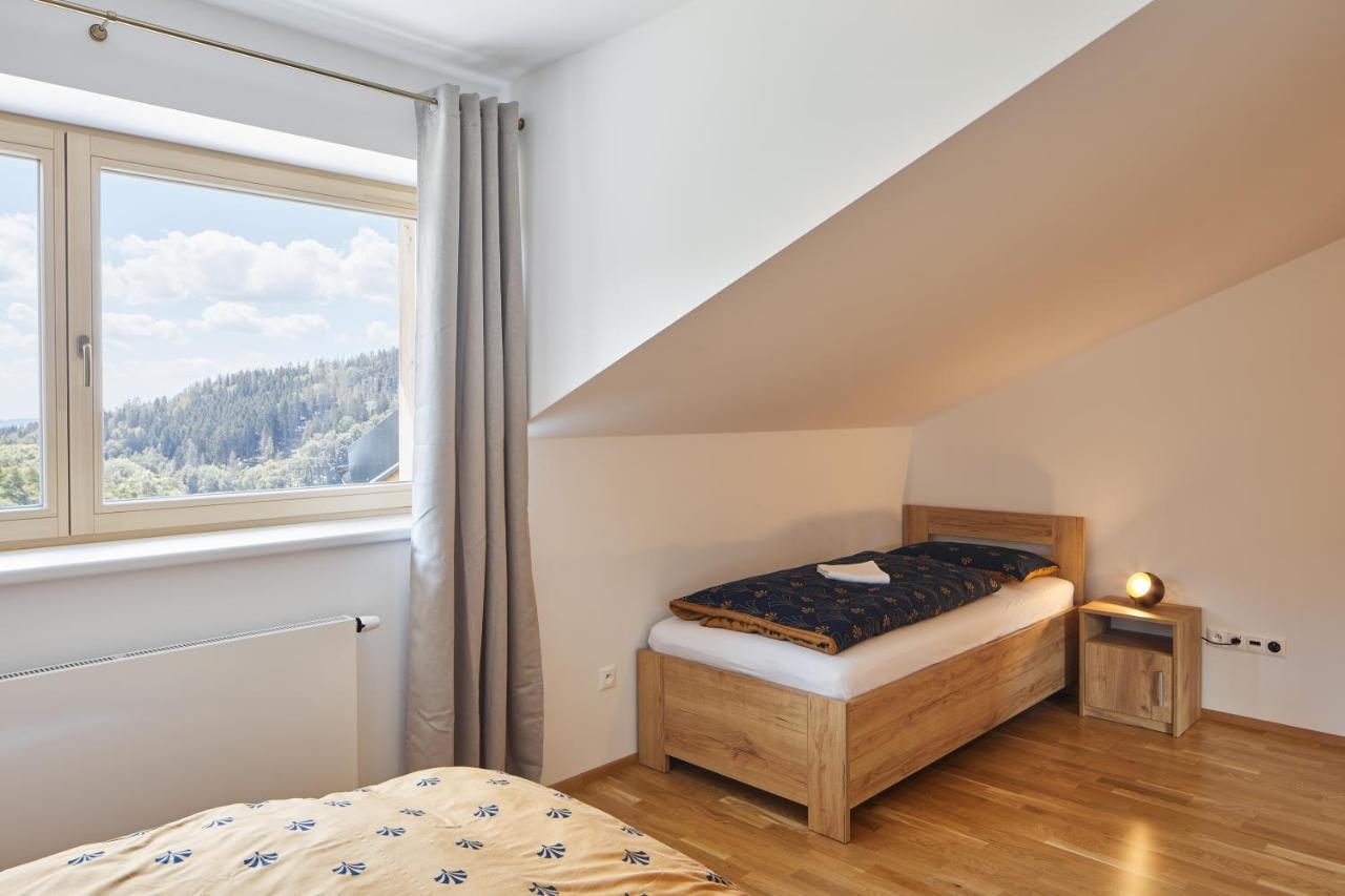 Appartement Lucni Apartman Rozmarina à Černý Důl Extérieur photo