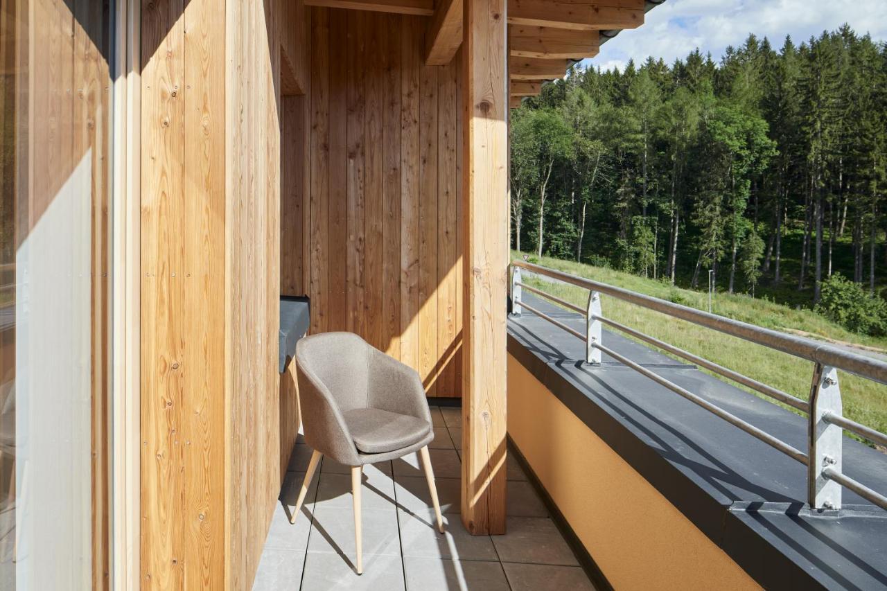 Appartement Lucni Apartman Rozmarina à Černý Důl Extérieur photo