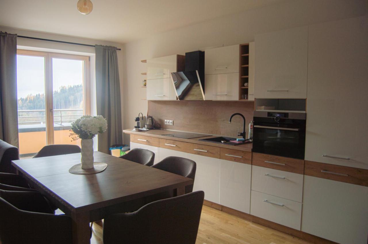 Appartement Lucni Apartman Rozmarina à Černý Důl Extérieur photo