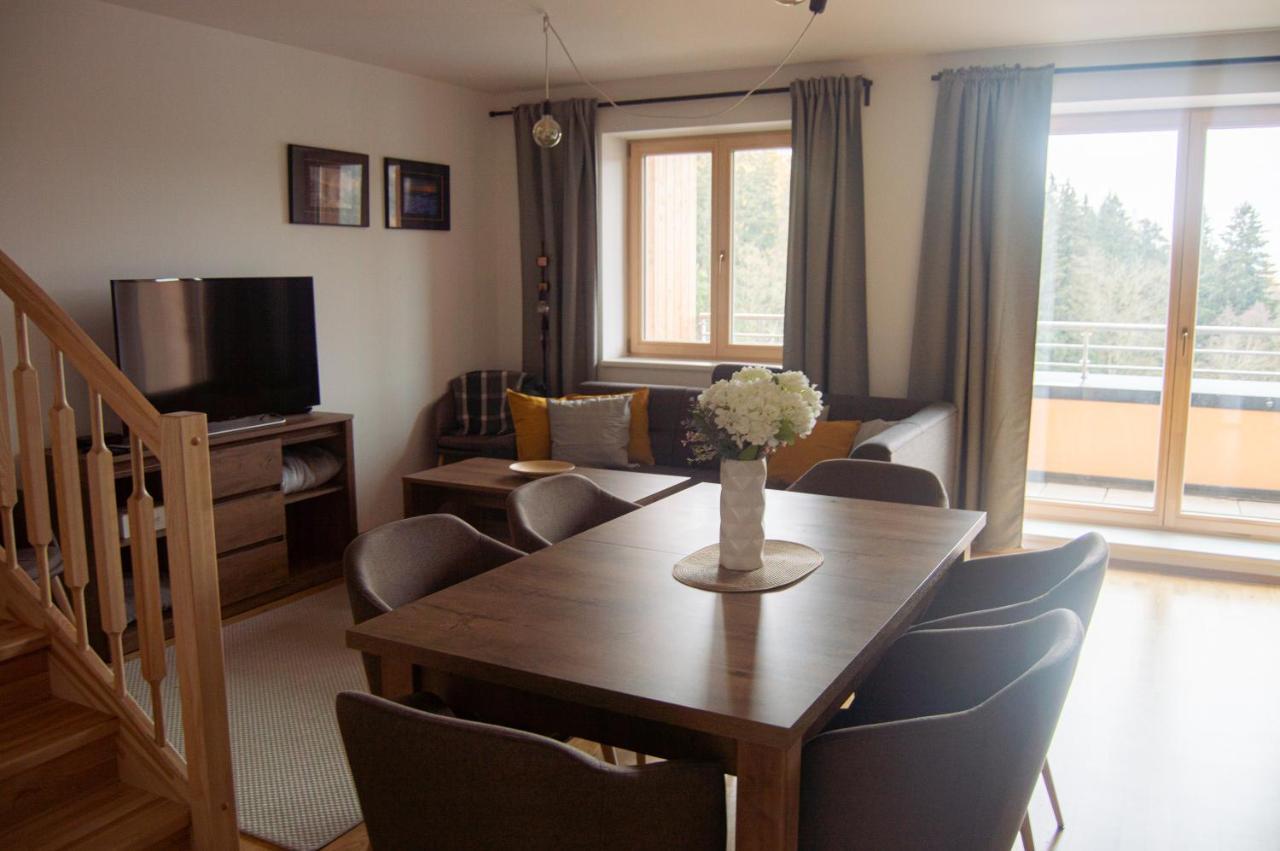 Appartement Lucni Apartman Rozmarina à Černý Důl Extérieur photo